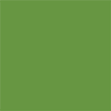 Stahls' CAD-CUT® - Ultraweed™ HTV - Apple Green