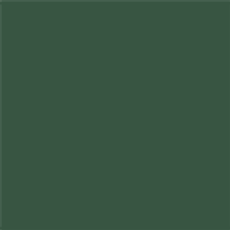 Stahls' CAD-CUT® - Ultraweed™ HTV - Dark Green